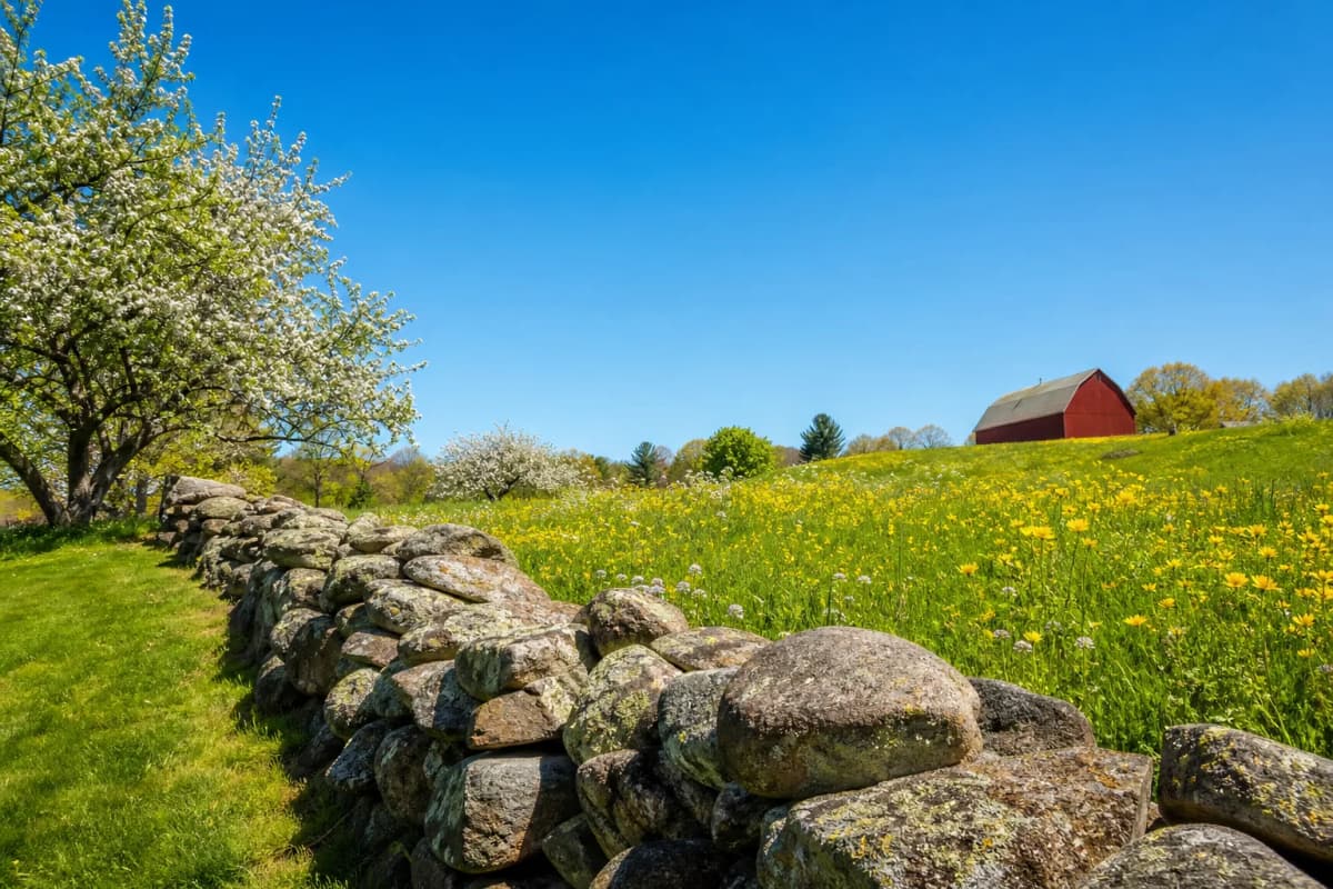 Is Lincoln, MA a Good Place to Buy a House?